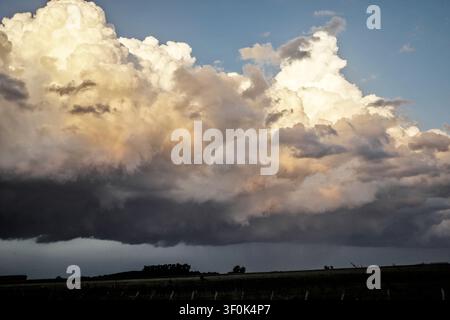 Des nuages d'orage cumulonimbus dramatiques se forment au coucher du soleil sur le paysage plat de la pampa à Duggan, province de Buenos Aires, Argentine. Banque D'Images