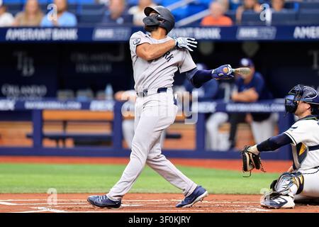 St. Petersburg, FL : Le troisième butteur des New York Yankees, Amed Rosario (14), tape en l’air et le premier butteur des Tampa Bay Rays, Jonathan Aranda (8), attrape la balle lors d’un match de MLB Banque D'Images