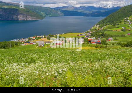 Une vue panoramique sur le village pittoresque d'Utvik par une journée ensoleillée de fin de printemps dans le comté de Vestland, en Norvège. Des fleurs sauvages colorées fleurissent au premier plan Banque D'Images