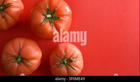 Vue de dessus de quatre tomates mûres disposées sur un fond rouge vif avec espace de copie. Composition alimentaire minimale mettant en avant des produits frais et un monochr audacieux Banque D'Images
