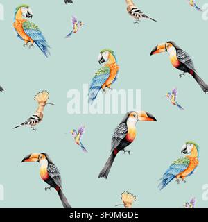 Modèle sans couture avec des oiseaux tropicaux. Aquarelle dessinée à la main colibri, aras perroquet, toucan toco, hoopoe. Illustration isolée sur transparent Banque D'Images