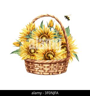 Bouquet de tournesols disposé dans un panier en osier rustique. Illustration aquarellée peinte à la main avec des têtes de fleurs jaunes vibrantes, des feuilles vertes et des bourdons Banque D'Images