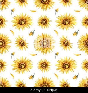 Motif sans couture d'aquarelle de tournesols isolé sur fond blanc. Fleurs jaunes en fleurs répétées ornementales. Illustration botanique florale peinte à la main Banque D'Images