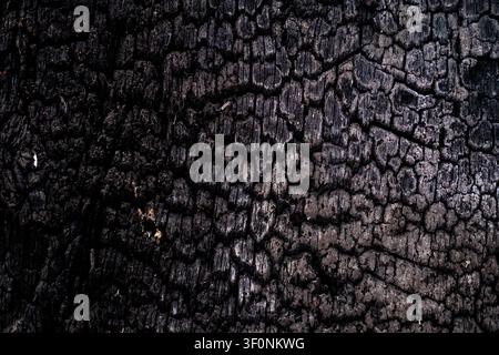 Vue rapprochée d'une texture de bois brûlé et d'une surface noircie par le carbone à l'intérieur du site de conservation et de reconstruction de la Maison de la Mere Pourcel, forme Banque D'Images