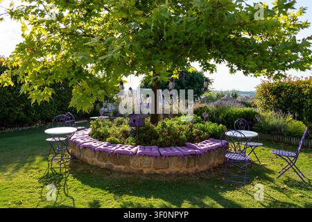 Café rustique en plein air avec chaises violettes et vue sur le jardin Banque D'Images