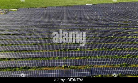 Vue aérienne large d'une vaste ferme solaire avec des rangées de panneaux photovoltaïques convertissant la lumière du soleil en électricité renouvelable Banque D'Images