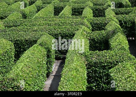 Labyrinthe de haies vert à Laberinto Macondo près du parc national de Tayrona, Colombie Banque D'Images