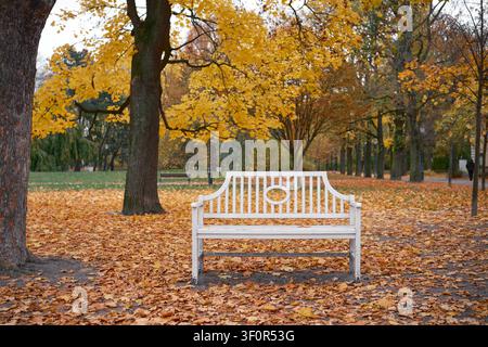 Banc de parc blanc vide entouré de feuilles d'automne tombées dans un parc urbain paisible pour des thèmes saisonniers extérieurs calmes. Banque D'Images