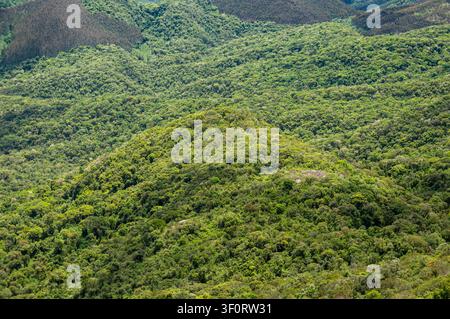 Montagnes Mantiqueira denses depuis la canopée de la forêt atlantique recouvrant les collines ondulantes dans un paysage tropical préservé par une matinée d'été. Banque D'Images