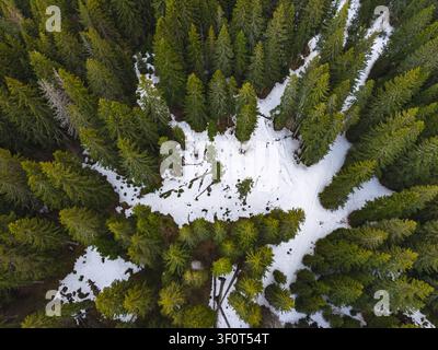 Vue aérienne du parc national du Durmitor présentant des forêts de pins toujours verts denses avec des plaques de neige fondante au sol à Zabljak, municipalité de Zabljak Banque D'Images