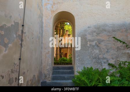 Porte en arc de pierre avec des marches menant à une cour de château ensoleillée, présentant de vieux murs en stuc et des fougères vertes luxuriantes en Allemagne Banque D'Images
