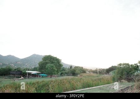 Une scène campagnarde sereine mettant en vedette une vallée luxuriante avec des collines ondulantes, une herbe verte vibrante et un ciel bleu clair. Le paysage est parsemé de fermes Banque D'Images