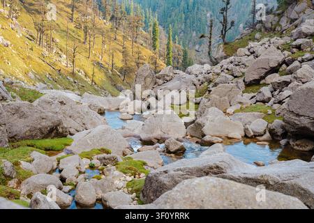 Une vue en contre-plongée d'un ruisseau de montagne clair serpentant entre de gros rochers et de la mousse verte au lac Kareri. Banque D'Images