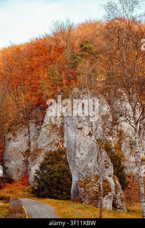 Un chemin sinueux traverse une forêt avec des arbres colorés d'automne et de gros rochers sous un ciel clair. La scène capture la beauté de la nature. Banque D'Images