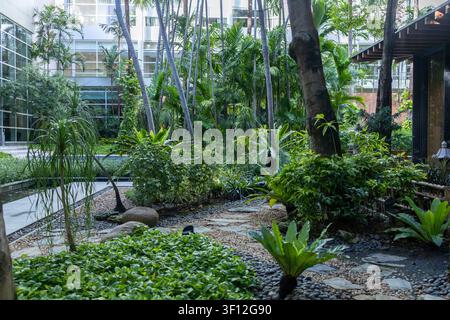 Cour de jardin verte avec des plantes tropicales, des palmiers et des allées en pierre Banque D'Images