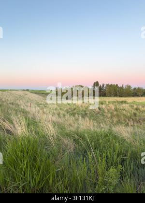 Un cliché paysage en grand angle d'un champ herbeux ouvert dans le sud de l'Alberta lors d'un lever de soleil éclatant Banque D'Images