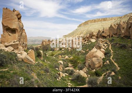 Le paysage surréel de la Cappadoce présente d'anciennes formations rocheuses volcaniques taillées en habitations. Les cheminées féeriques et les maisons troglodytiques créent une formation géologique unique Banque D'Images