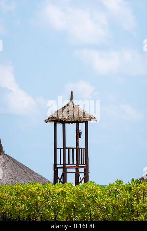 Tour de sauveteur en bois avec toit de chaume s'élevant au-dessus d'une végétation tropicale luxuriante sous un ciel bleu Banque D'Images