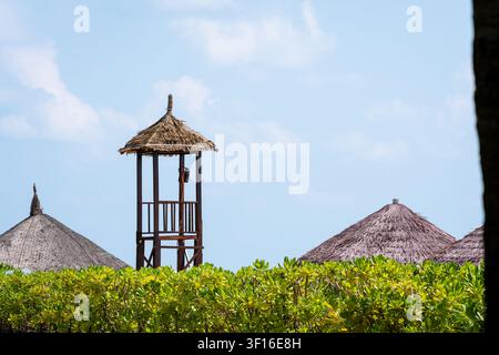 Tour de sauveteur en bois avec toit de chaume s'élevant au-dessus d'une végétation tropicale luxuriante sous un ciel bleu Banque D'Images