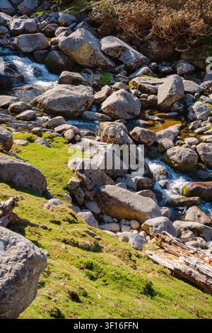 Une vue en contre-plongée d'un ruisseau de montagne clair qui coule sur des rochers déchiquetés et de l'herbe verte dans l'Himalaya. Banque D'Images