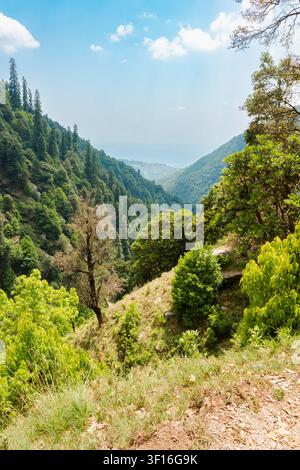 Une vue panoramique à haute angle d'un paysage de vallée montagneuse verdoyante sous un ciel bleu éclatant dans l'Himalaya. Banque D'Images