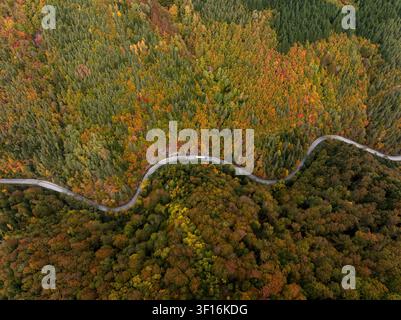 Vue aérienne d'une route sinueuse traversant une forêt dense avec un feuillage automnal vibrant dans des tons d'orange, de jaune et de vert en Bulgarie Banque D'Images