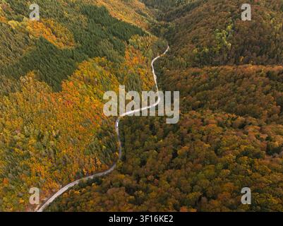 Vue aérienne d'une route sinueuse traversant une forêt dense avec un feuillage automnal éclatant dans des nuances d'orange, de jaune et de vert, Bulgarie. Banque D'Images