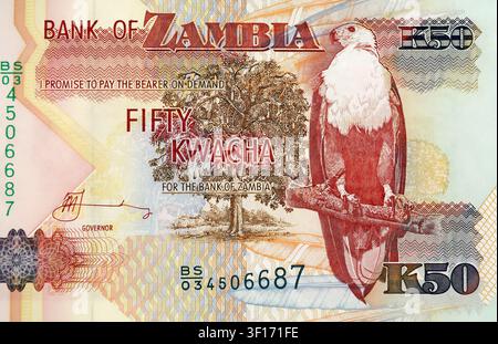 Billet de cinquante (50) kwacha zambiens, Zambie, Afrique Banque D'Images
