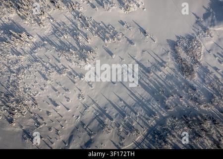 Vue aérienne du paysage enneigé entourant le Gaustablikk Fjellresort avec de longues ombres projetées par les pins sur le terrain blanc immaculé Banque D'Images
