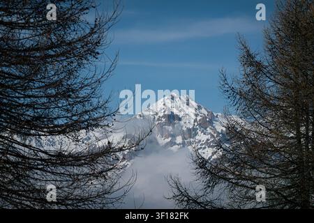 Sommet alpin enneigé encadré par des mélèzes dans la vallée de Suse près de Sauze d'Oulx, Piémont, Italie. Banque D'Images
