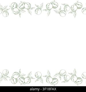 Un motif botanique élégant et minimaliste sans couture mettant en scène des fruits de pêche et des feuilles esquissés, idéal pour des designs textiles élégants ou des papiers peints sophistiqués Banque D'Images
