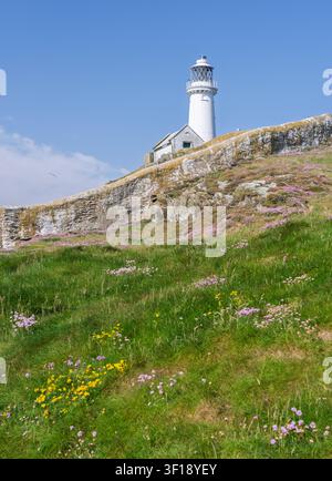 Le phare historique de South Stack s'élève au-dessus des fleurs côtières sauvages et des murs de pierre sur l'île sainte d'Anglesey. Banque D'Images
