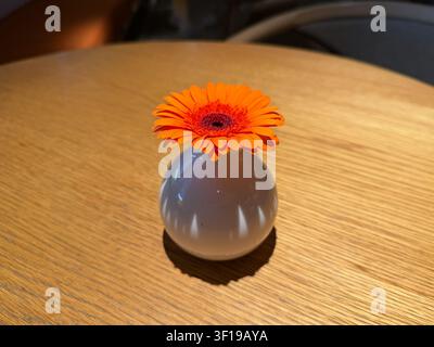 Gerbera orange vif dans un petit vase en céramique blanche décore une table en bois dans un café moderne avec un flou doux en arrière-plan. Décor floral, design minimaliste, cosy Banque D'Images
