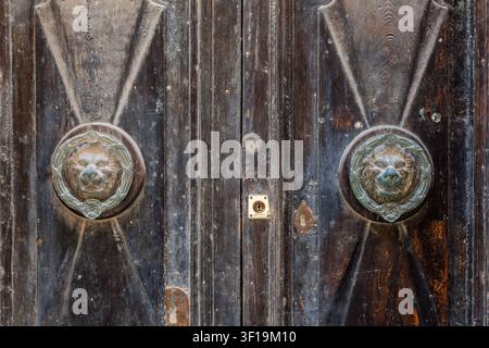 Des poignées de porte doubles en bois sombre et patinées, ornées de têtes de lion en laiton, ornent une double porte à Valletta, Malte Banque D'Images