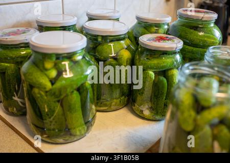 Bocaux en verre remplis de concombres marinés maison disposés sur un comptoir de cuisine après la conservation des légumes frais du jardin. Banque D'Images