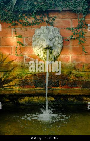 Une fontaine décorative en tête de lion en pierre fait jaillir l'eau le long d'un mur en briques orange usé dans un bassin d'étang de jardin. Banque D'Images