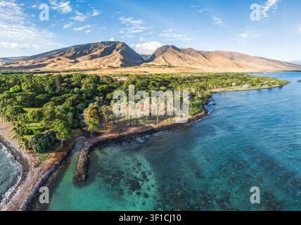 Vue aérienne d'une côte tropicale luxuriante avec des palmiers et des montagnes volcaniques en arrière-plan, Maui, Hawaï, États-Unis Banque D'Images