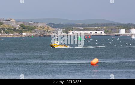Un petit bateau de pêche jaune entrant dans la rivière Tamar Plymouth Uk suivi de mouettes Banque D'Images