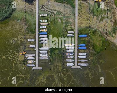 Sécheresse sur le lac de Constance. La marina de Mannenbach-Salenstein dans le canton de Thurgovie est presque entièrement à sec. Les bateaux sont à sec au quai et ne peuvent pas Banque D'Images