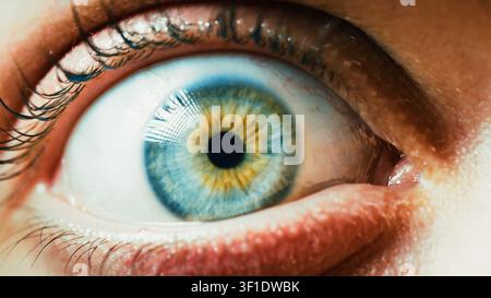 Regard bleu fixant la caméra Banque D'Images