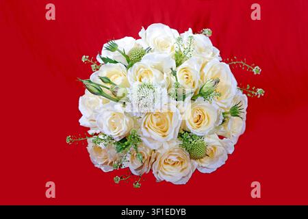 Un bouquet de mariée luxuriant et parfaitement arrondi mettant en vedette des roses blanches crème de qualité supérieure avec des centres dorés doux, accentué par une délicate dentelle de la reine Anne et t Banque D'Images