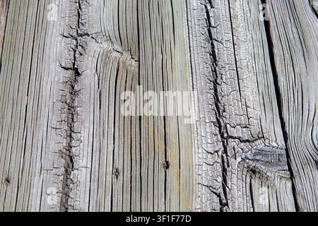 Texture haute résolution de bois gris usé avec des lignes de grain verticales proéminentes, des fissures et une surface rustique vieillie. bon pour le design ou les arrière-plans. Banque D'Images