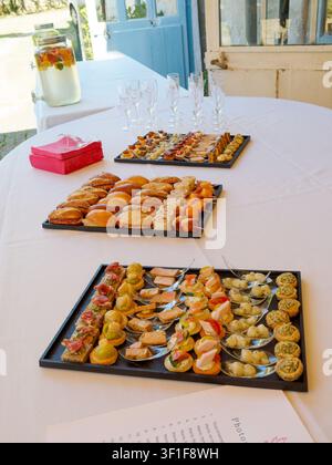 Canapés gourmands variés et amuse-gueules disposés sur un plateau de traiteur Banque D'Images
