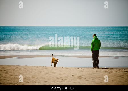 Homme regardant les vagues de l'océan avec son chien Banque D'Images