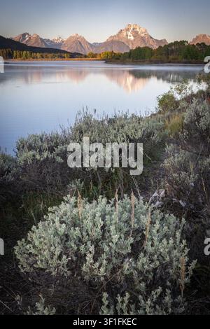Lac de montagne automnal avec rive de sauge et matinée réfléchissante Banque D'Images