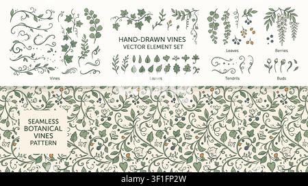 Motif de vignes dessinées à la main sans couture, ensemble d'éléments vectoriels . Illustration de Vecteur