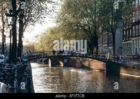 Amsterdam, Pays-Bas – 18 avril 2026 : Canal étroit avec pont en arche, vélos et arbres en fleurs brillant sous la lumière chaude du soir au centre d'Amsterdam Banque D'Images