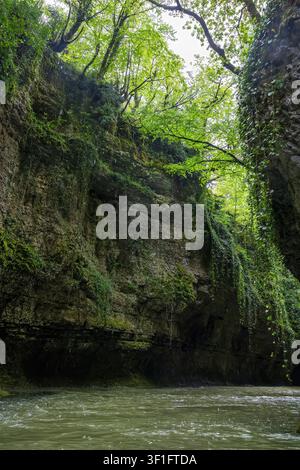 L'eau agitée coule sous des arches de pierre vêtues de vert. Une lumière tamisée filtre à travers la canopée d'une forêt dense. Les rochers ondulent doucement avec des ruisseaux cascadants et peu profonds. Le canyon de Martvil est une attraction naturelle populaire dans la région de Samegrelo en Géorgie. Banque D'Images