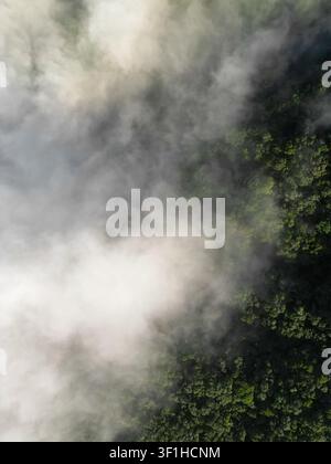 Vue aérienne de la canopée d'une forêt dense partiellement obscurcie par d'épais nuages bas et de la brume à Jaragua do Sul, Santa Catarina, Brésil. Banque D'Images