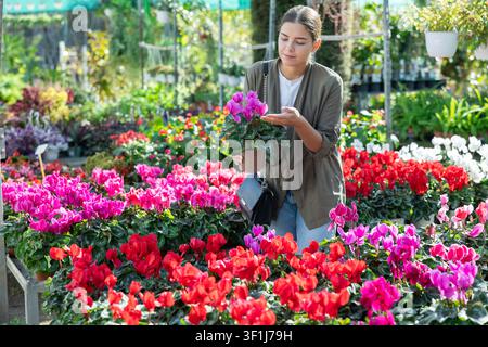 Client féminin choisissant cyclamen en pot dans le magasin de jardin de récipient Banque D'Images
